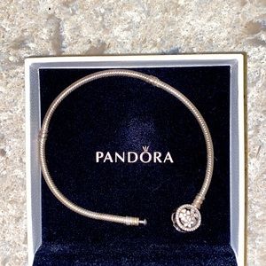 Pandora Charm Snake Bracelet